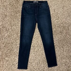 Joe’s Jeans Women’s Mid Rise Skinny Jeans size 29